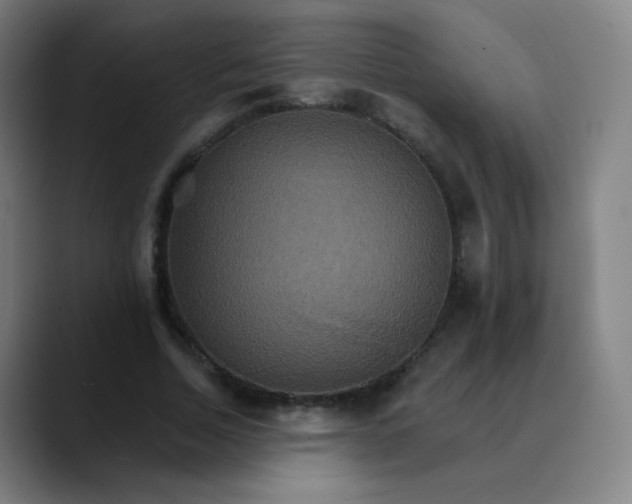 X0000089720730200707121430