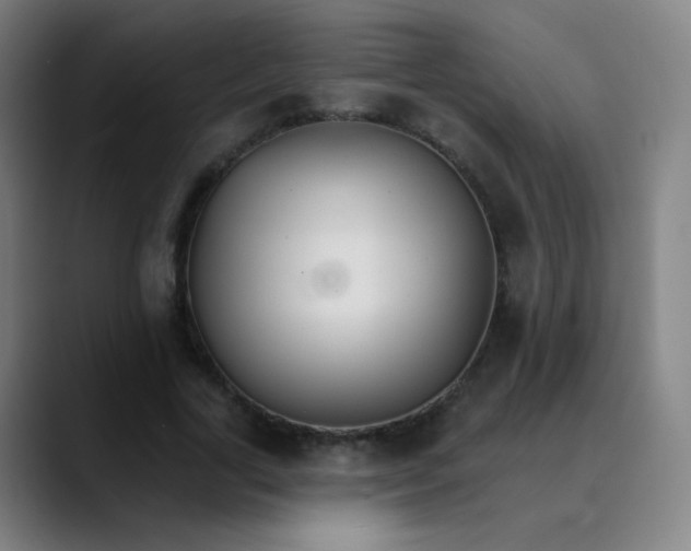 X0000089720731200707121430