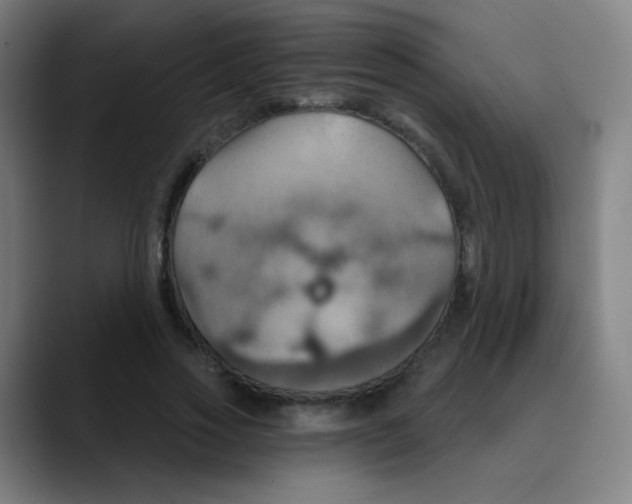 X0000089720733200707121430