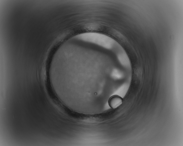 X0000089720734200707121430