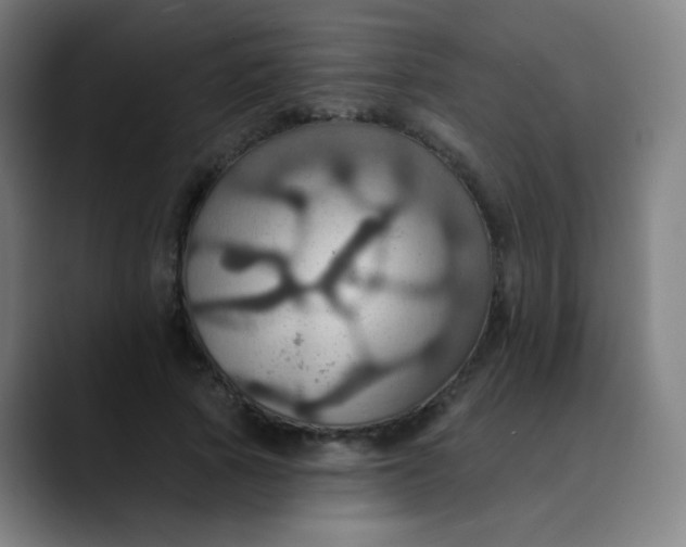 X0000089720737200707121430