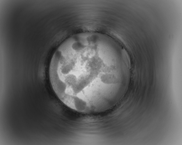 X0000089720738200707121430