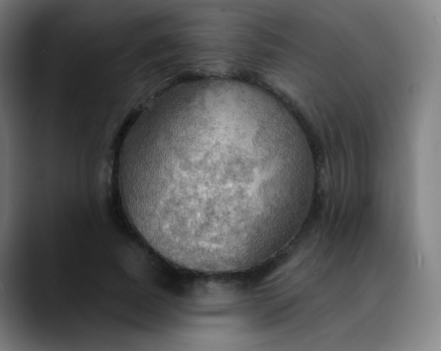 X0000089720739200707121430