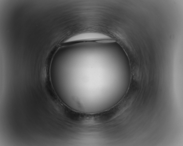 X0000089720740200707121430