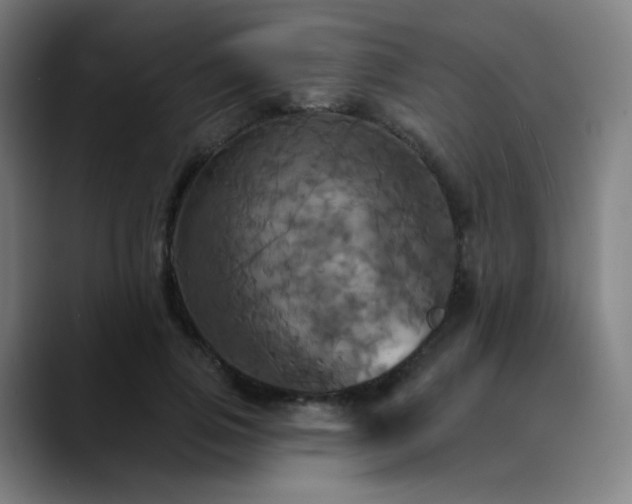 X0000089720741200707121430