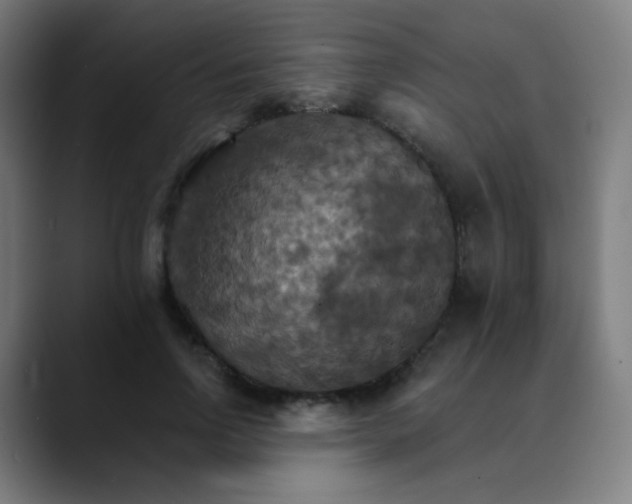 X0000089720742200707121430