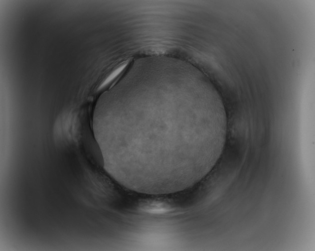 X0000089720743200707121430