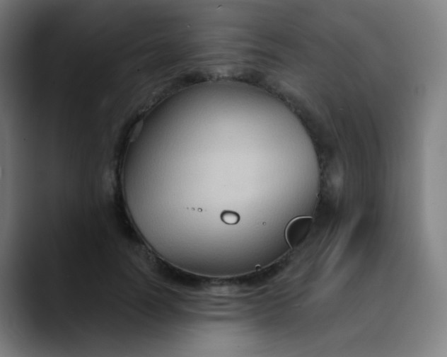 X0000089720746200707121430