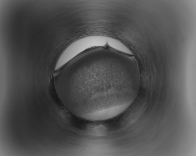 X0000089720747200707121430