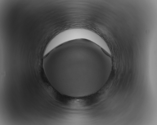 X0000089720748200707121430