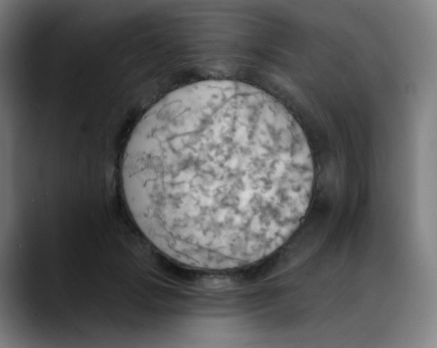 X0000089720749200707121430