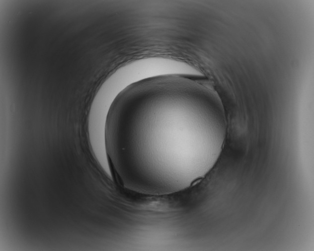 X0000089720750200707121430