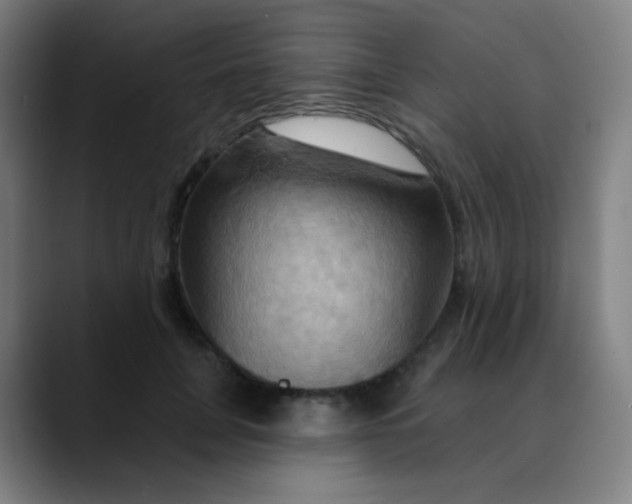 X0000089720751200707121430