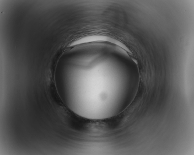 X0000089720752200707121430