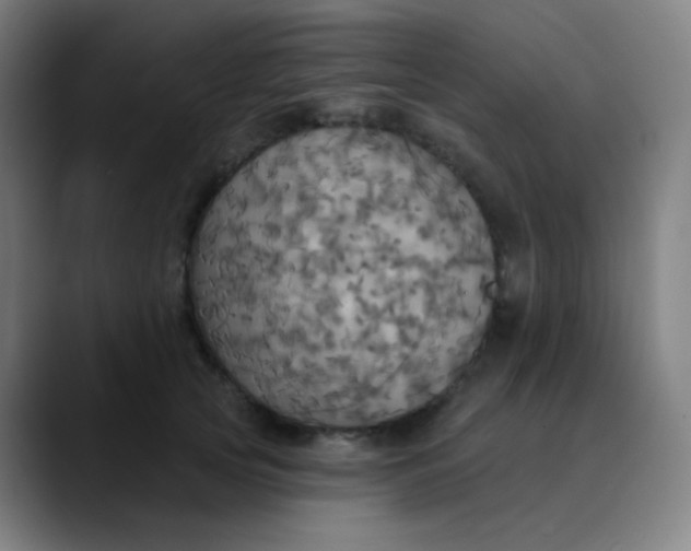 X0000089720753200707121430