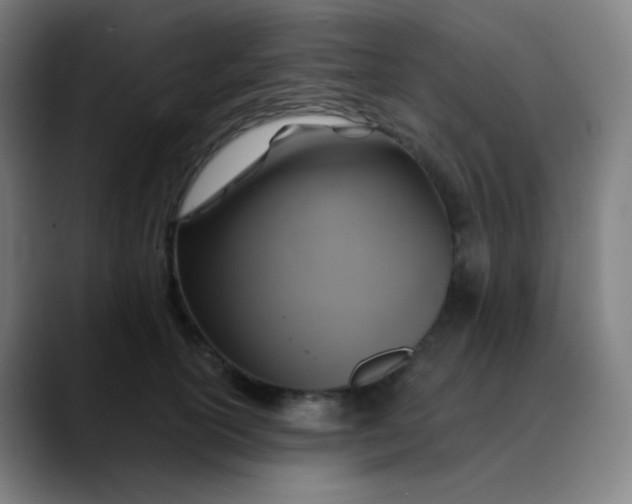 X0000089720754200707121430