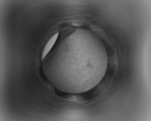 X0000089720755200707121430