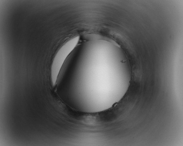 X0000089720756200707121430