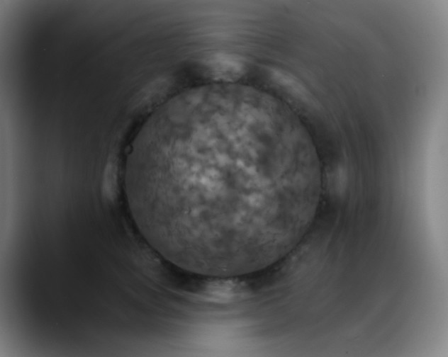 X0000089720757200707121430