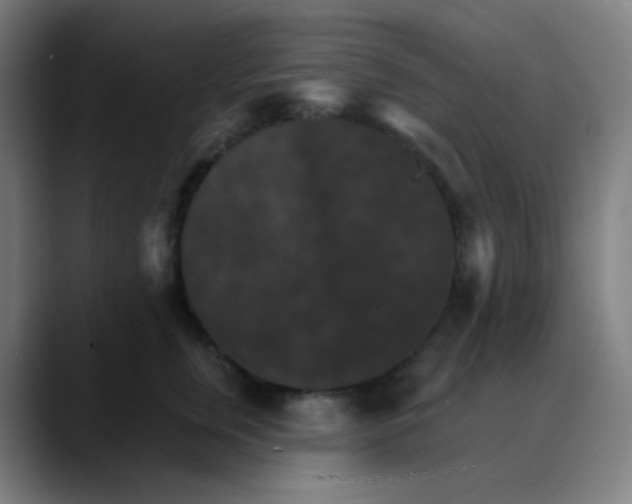 X0000089720759200707121430