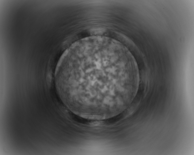 X0000089720761200707121430