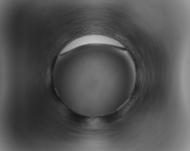 X0000089720762200707121430