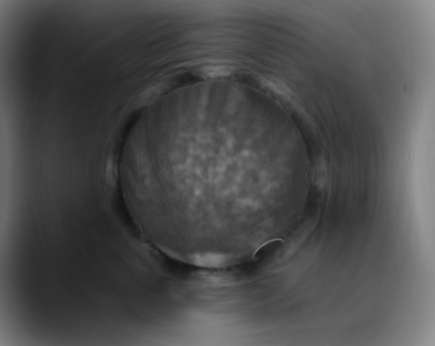 X0000089720763200707121430