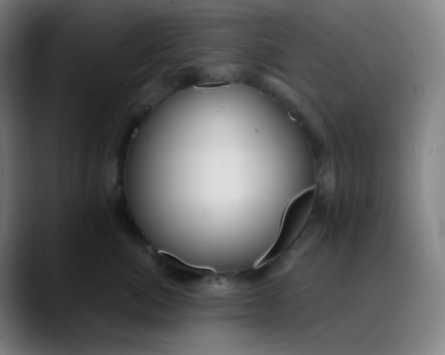 X0000089720764200707121430