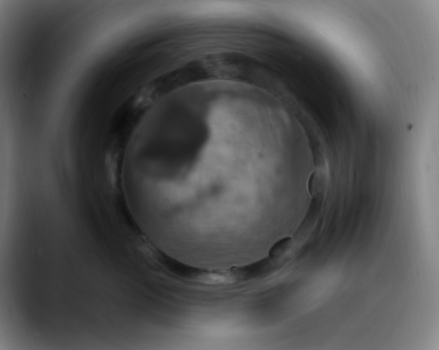 X0000089720765200707121430