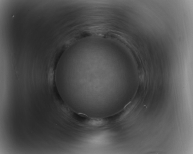 X0000089720767200707121431