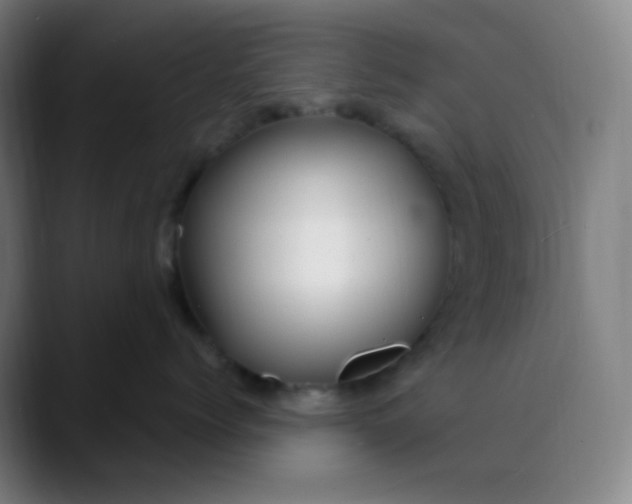 X0000089720768200707121431