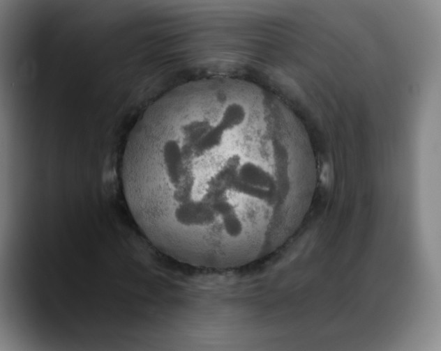 X0000089720771200707121430