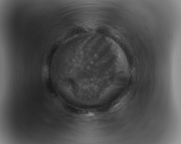 X0000089720772200707121430