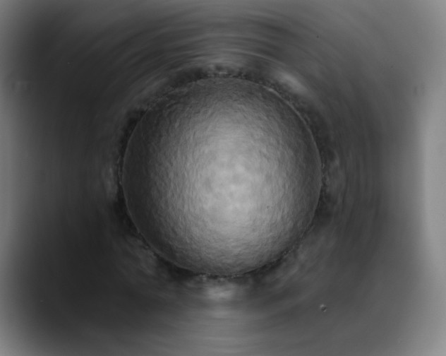 X0000089720774200707121430