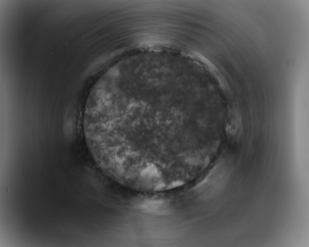 X0000089720775200707121430