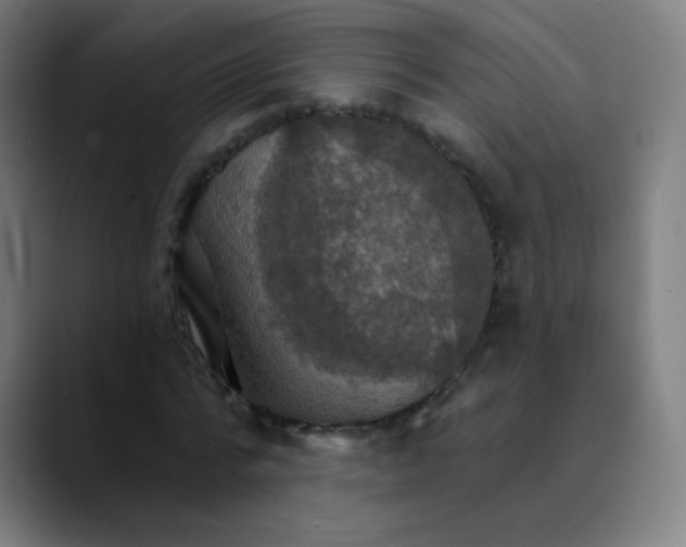 X0000089720776200707121430