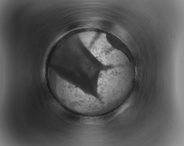 X0000089720780200707121430