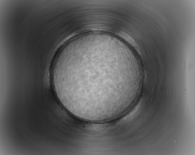 X0000089720782200707121430