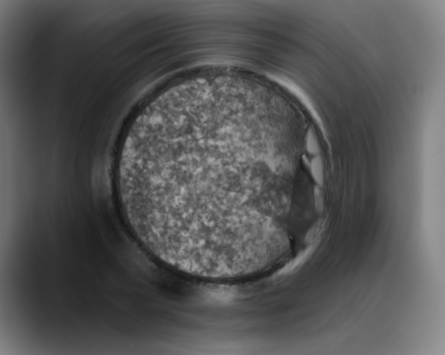 X0000089720783200707121430