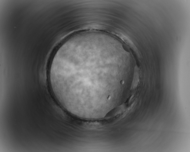 X0000089720784200707121430