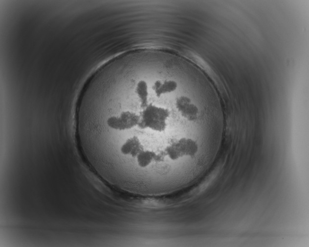 X0000089720787200707121430