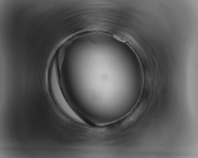 X0000089720788200707121430