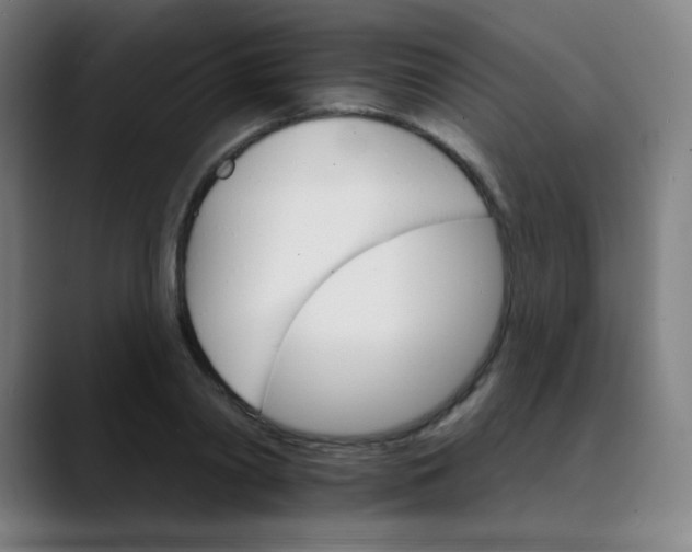 X0000089720790200707121430