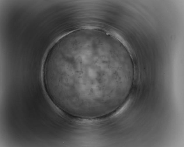 X0000089720803200707121430