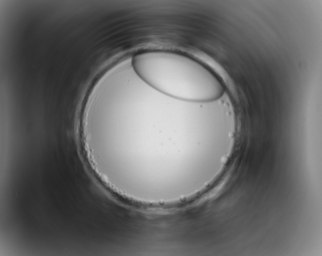 X0000089720807200707121430