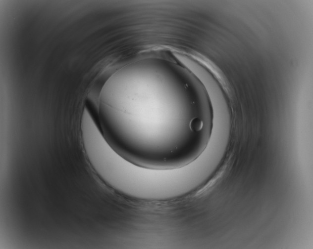 X0000089720809200707121429