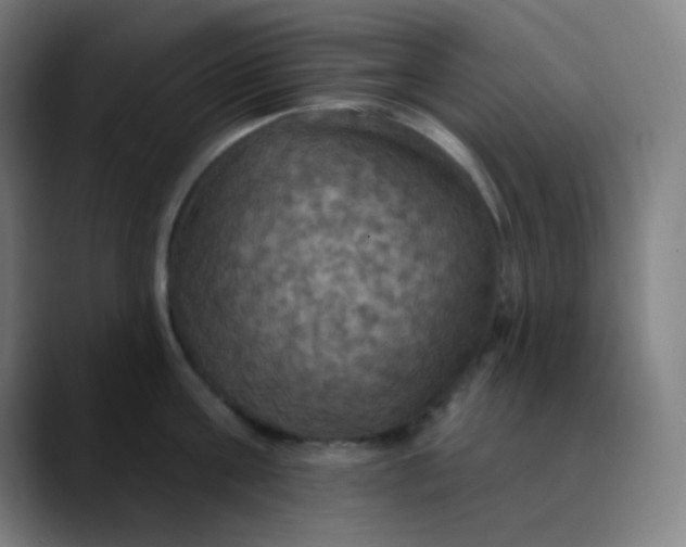 X0000089720811200707121429