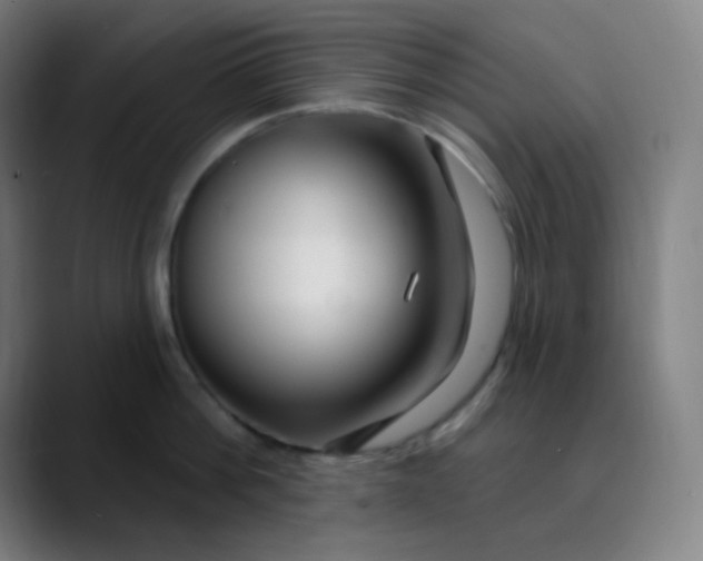 X0000089720812200707121429