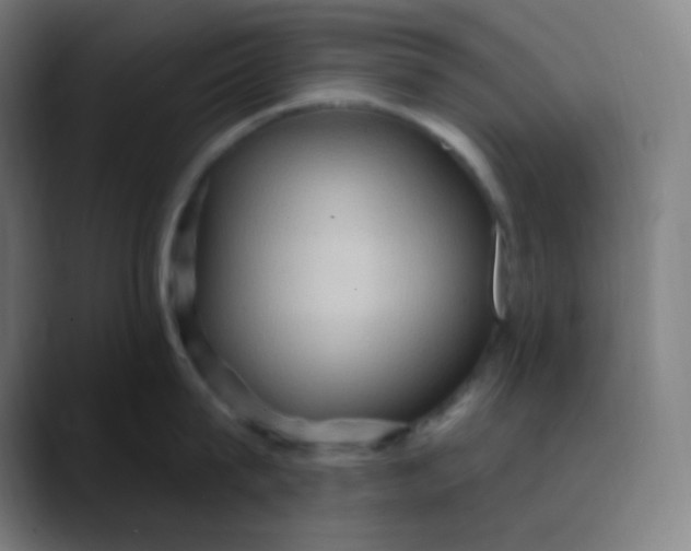 X0000089720815200707121429