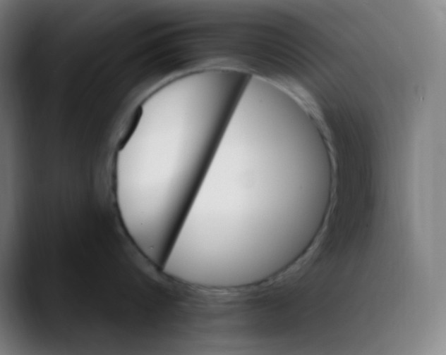 X0000089720816200707121429